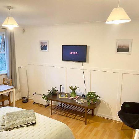 Bright And Comfortable Studio Apartment Londen Buitenkant foto