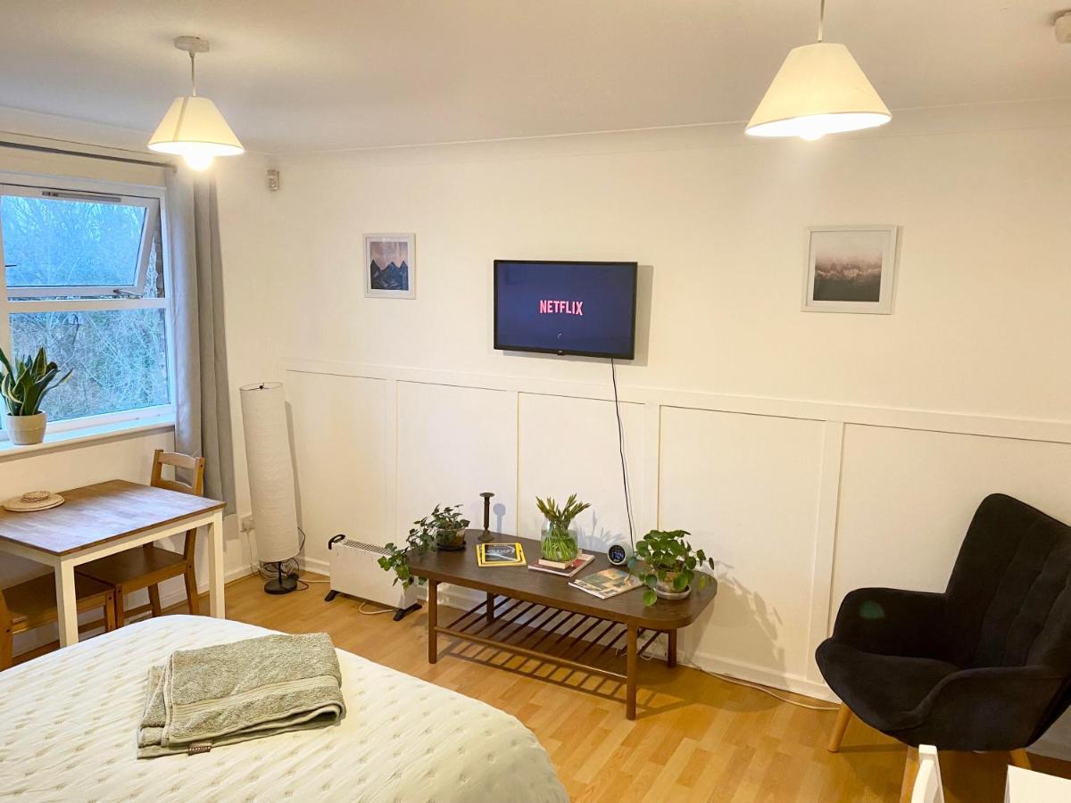 Bright And Comfortable Studio Apartment Londen Buitenkant foto